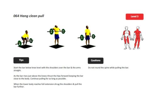 Top 100 Fast Bowling Exercises